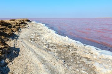 Из-за перекрытого Украиной Северо-Крымского канала может исчезнуть озеро Сиваш