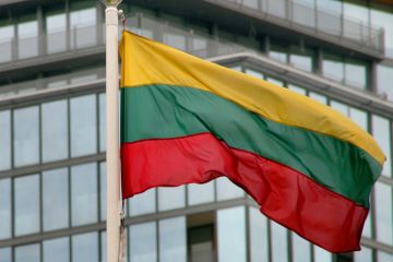 «Я – за Россию»: как литовскую учительницу травят за слова о Путине и СССР