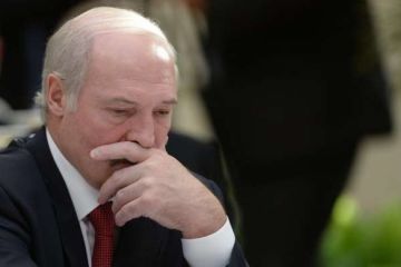 Роковая встреча - подавленный Лукашенко отказался беседовать с прессой после напряженной беседы с Путиным