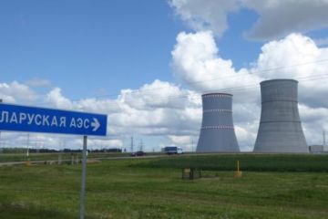 Международного союза против БелАЭС не получилось