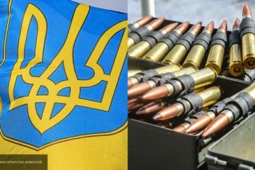 Украина стала международным контрабандистом: как Киев покрывает «оружейных баронов»