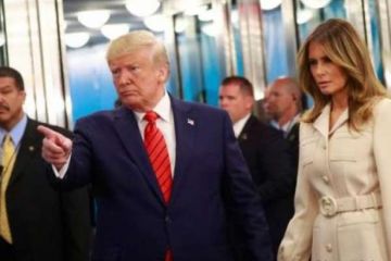 Колония волнуется