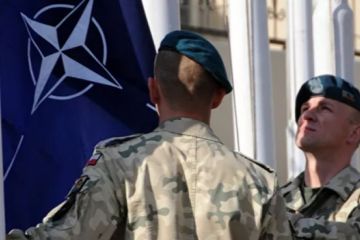 Разведчики НАТО заблудились в лесах Литвы