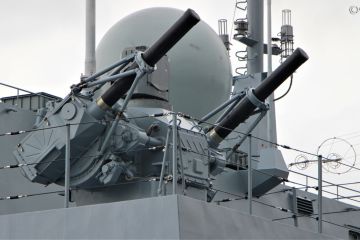 В Госдуме ответили Пентагону на раскрытые данные об усилении активности ВМФ России