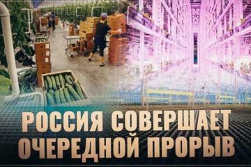 Тепличный бум: Россия совершает очередной прорыв