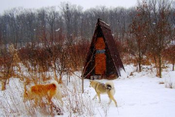 Финка поделилась впечатлениями от пребывания в российском экопоселке