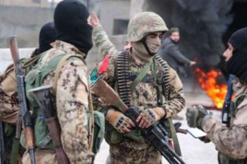 "Наша цель — уничтожить Россию": В турецких сетях объявили нам войну