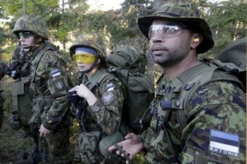 Эстонцы не зря боятся превентивного удара со стороны РФ