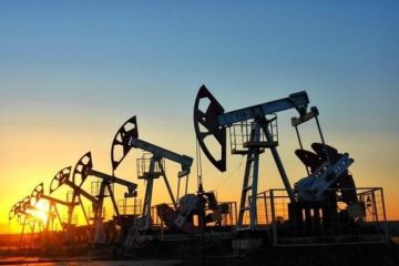 Взамен российской нефти: У Белоруссии появился неожиданный поставщик
