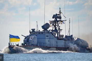 Украина и Румыния договорились вместе противостоять России в Черном море