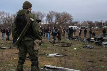 Нидерланды уклонились от соблюдения резолюции СБ ООН, отказав РФ в передаче данных по МН17