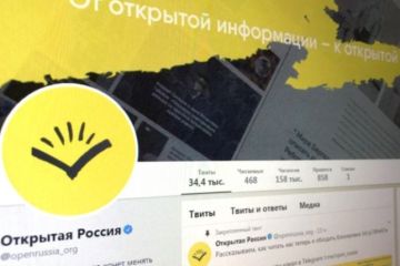 Активисты «Открытой России» осваивают бюджеты на борьбу с изменением Конституции