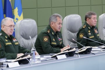 Военный эксперт предупредил о «сокрушительном ответе» Шойгу на действия Запада против РФ