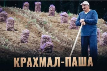 Проценты, бульба, два горшка