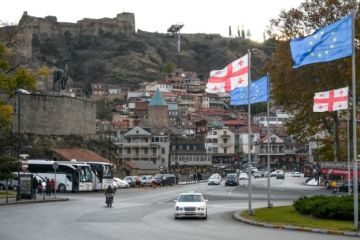Фейковые обвинения Тбилиси призваны сдержать пророссийские настроения в Грузии