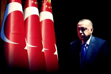 Эрдоган остался наедине с провальными амбициями - судьба Турции решится в ближайшие дни