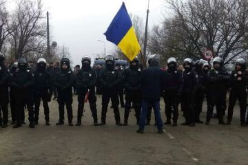 «Страну поразила эпидемия позора»: Погребинский об украинской истерике вокруг коронавируса