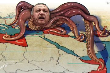 Дудчак предупредил об опасности ведения Турцией политики Османской империи в XXI веке