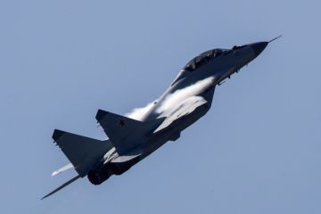 Разные роли: Су-35 сравнили с МиГ-35