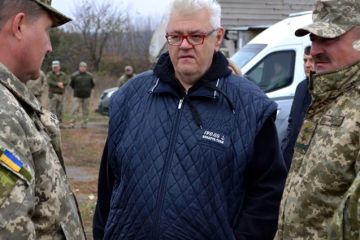 Объединять нечего или Почему запуск «Платформы примирения» Украины отложен на неопределённый срок