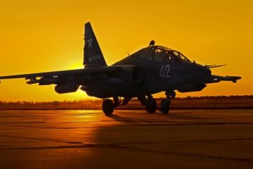 Боевики Эрдогана приземлили российских «Грачей»