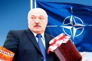 Лукашенко обещают гарантии неприкосновенности, а Белоруссии – членство в НАТО