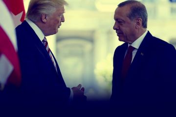 Гибель турецких солдат угодила интересам США – Вашингтон стал давить на Эрдогана