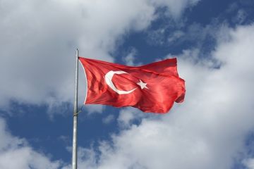 Политическая глупость: Почему лишь Турция виновата в гибели своих солдат в Идлибе