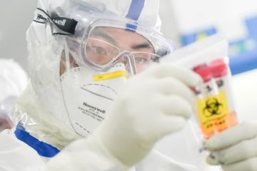 Covid-2019: идеальное оружие — вирус, часто заражающий без симптомов