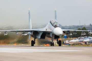 США призвали Россию "немедленно посадить" боевые самолеты в Сирии