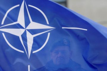 Греция заблокировала заявление НАТО о поддержке Турции в Идлибе