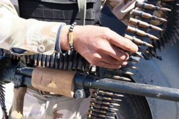 «Серые волки» Эрдогана выбирают базу у границы с Крымом