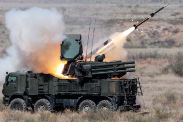 Уничтожение Турцией «Панциря-С1» в Сирии попало на видео