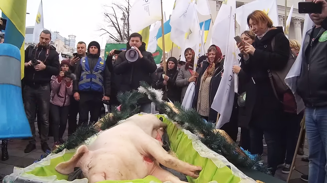 Пандемия похоронит «проект Украина» в нынешнем виде