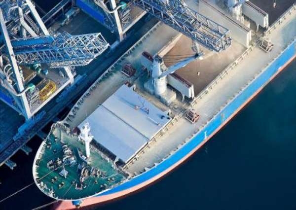 Украину ожидают голодные бунты? Власть вывозит зерно за рубеж