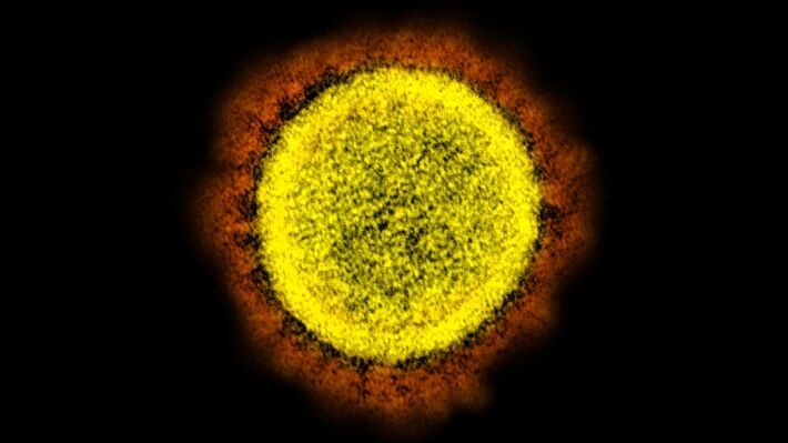 Военно-биологическая деятельность США деактуализировала китайский след в пандемии COVID-19