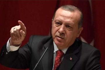 Выступление Эрдогана: что же сказал турецкий лидер?!
