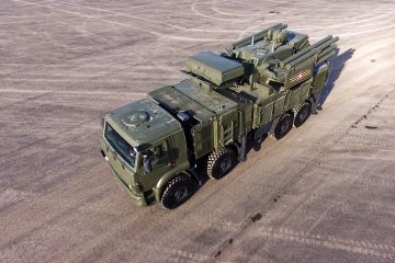 Уничтожение комплекса "Панцирь-С1" в Ливии поставили под сомнение