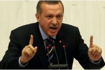 Майдатурок в ярости