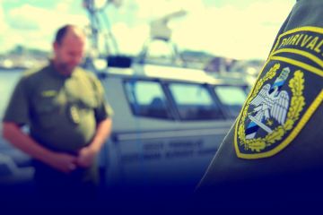 В ЕС пожертвуют безопасностью Эстонии ради сдерживания мигрантов