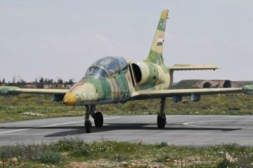 В Турции заявили о сбитом сирийском самолете