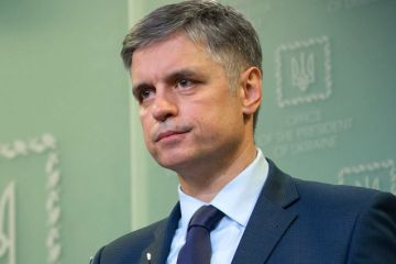 На Донбассе жёстко ответили украинскому министру на планы о выборах по «хорватскому сценарию»