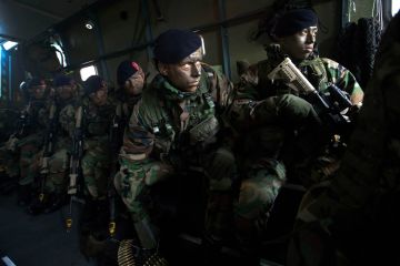 В Европе готовилась военная интервенция на территорию ДНР