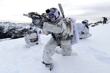 США оценили вероятность «физического столкновения» с Россией в Арктике