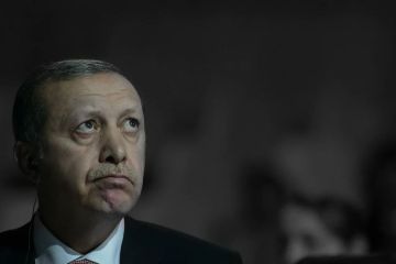 Эрдоган оказался не таким незаменимым – что подтолкнуло Анкару к спасительному диалогу с Москвой