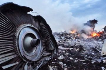 Нидерланды готовили военную операцию на Донбассе после катастрофы МН17