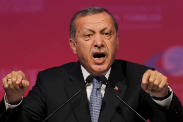 Турция сбросила на Грецию «миграционную бомбу»: в Le Figaro призвали остановить Эрдогана