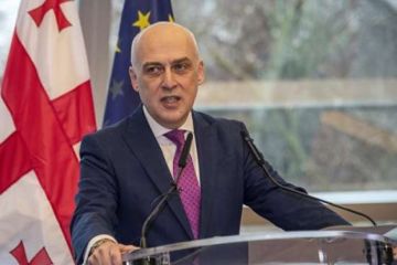 Швейцарская газета заметила униженную позицию Грузии перед западными партнерами