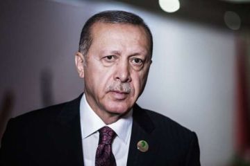 Эрдоган отошел от истерики и поехал поехал «на ковёр» в Москву без козырей