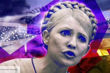 Тимошенко пошла против Зеленского: на Украине объявили о начале земельного референдума